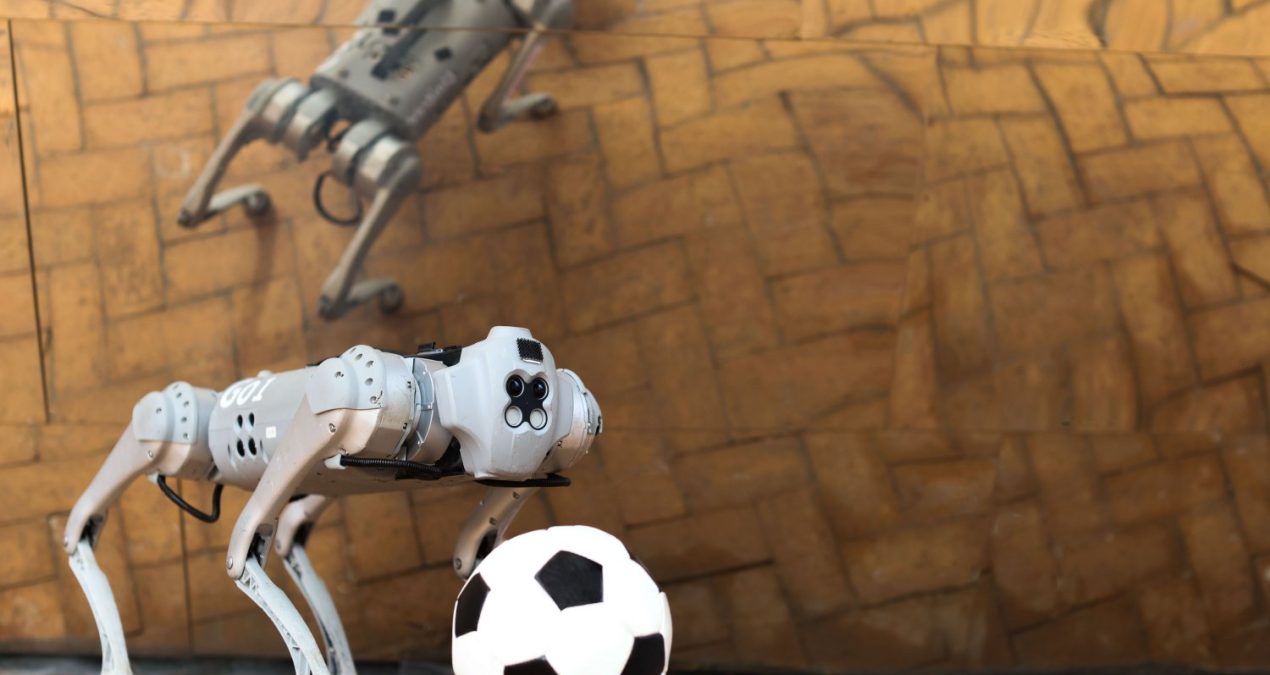 A four-legged robotic system for playing soccer on various terrains