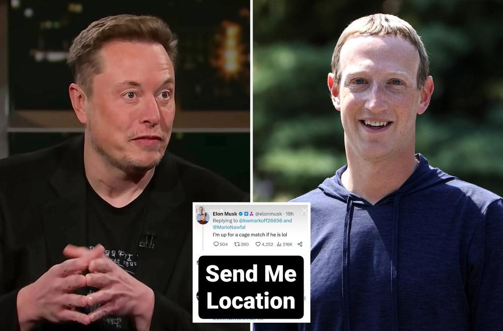 Mark Zuckerberg, Elon Musk privately ripped each other for years before ‘cage match’ challenge: report