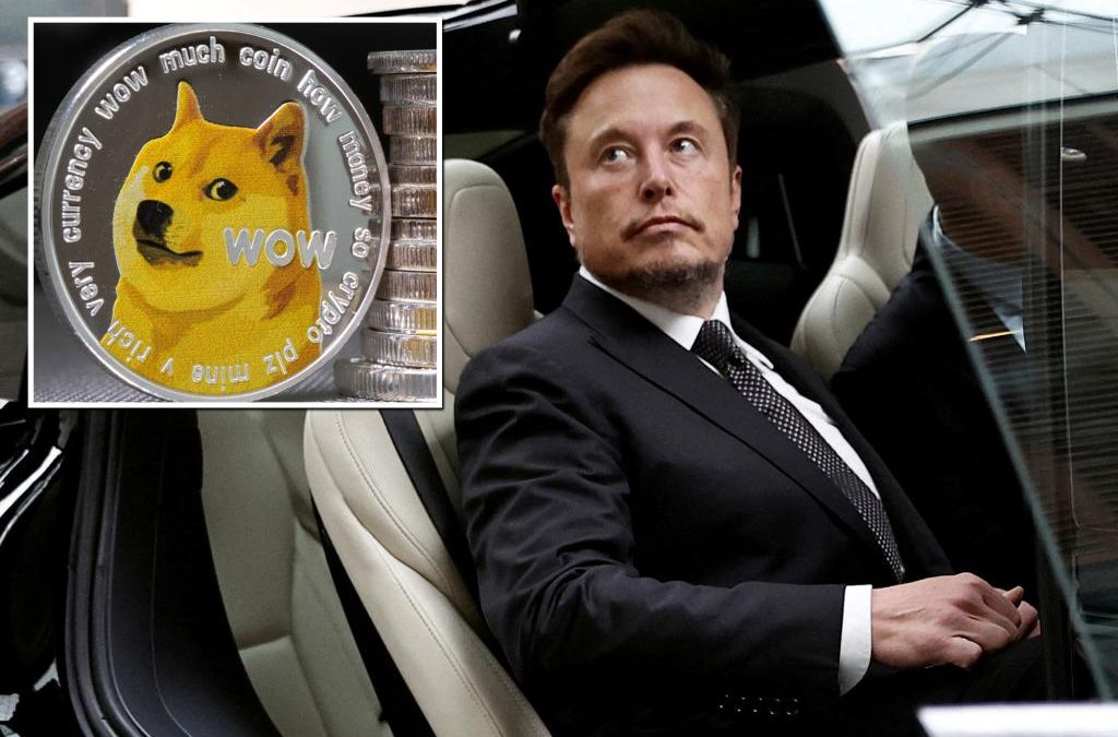 Elon Musk denies owning Dogecoin cryptocurrency wallets
