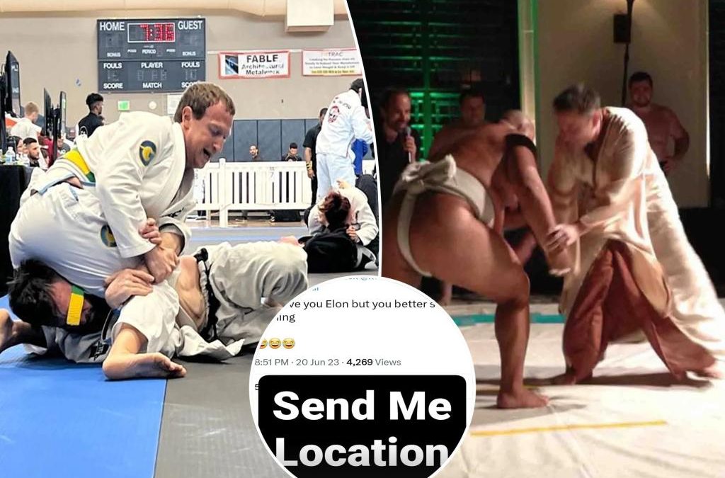 Mark Zuckerberg accepts Elon Musk’s cage fight: ‘Send me the location’