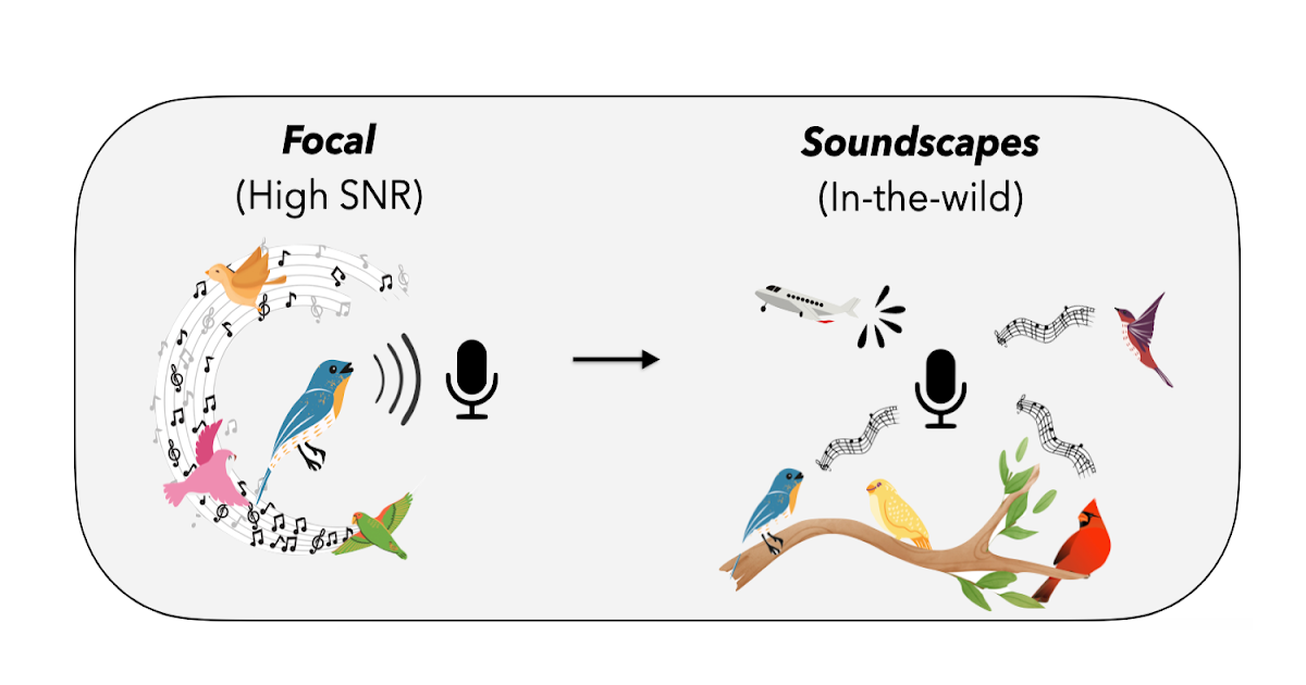 In search of a generalizable method for source-free domain adaptation