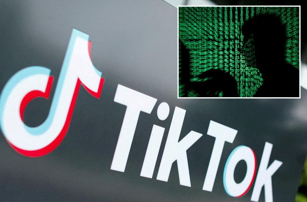 TikTok throttles researchers from gaining access to data