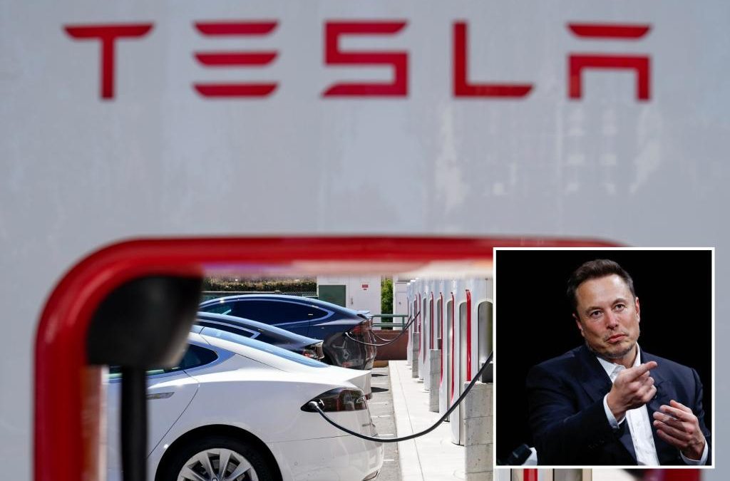 Elon Musk-owned Tesla profit margins shrink after prices slashed
