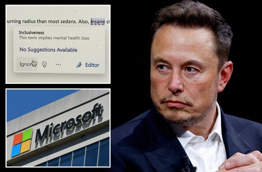 Elon Musk mocks Microsoft Word’s woke ‘inclusivity checker’