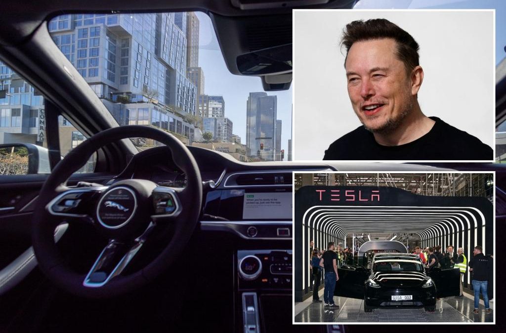 Elon Musk mandates ‘Full Self Driving’ demos for Tesla buyers in North America