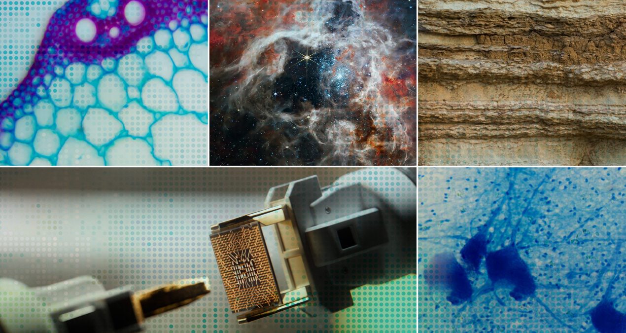 Accelerating scientific discovery with AI